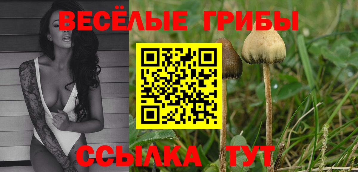 Галлюциногенные грибы GOLDEN TEACHER Людиново