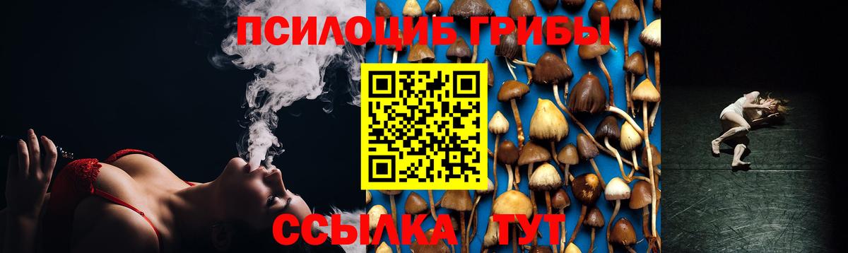 Псилоцибиновые грибы GOLDEN TEACHER  Вход с VPN  Галлюциногенные грибы Psilocybe  купить наркоту  Людиново 